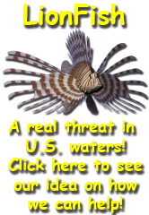 Lionfish Page